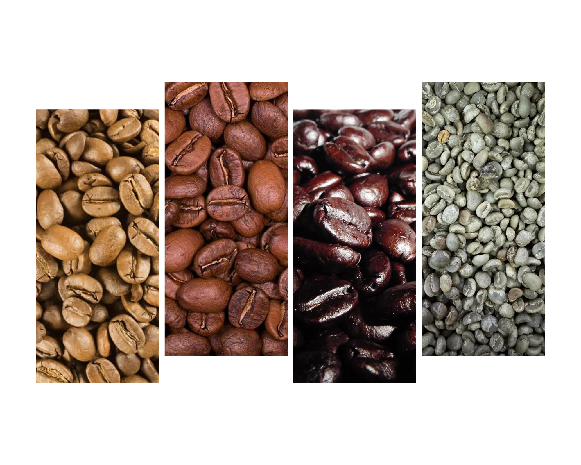 White_Beige_Minimalist_Photoshoot_Fashion_Photo_Collage