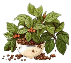 images__1_-removebg-preview