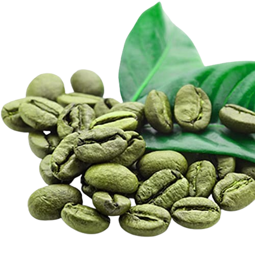 instant-coffee-green-tea-green-coffee-extract-coffee-bean-coffee-removebg-preview